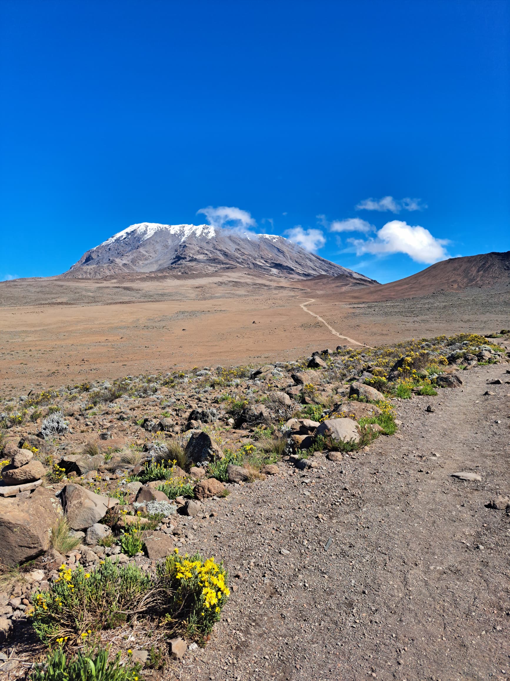 Marangu Route